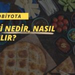mikrobiyota-testi-nedir-nasil-yapilir